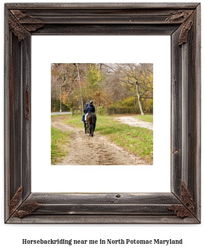 horseback riding near me in North Potomac, Maryland